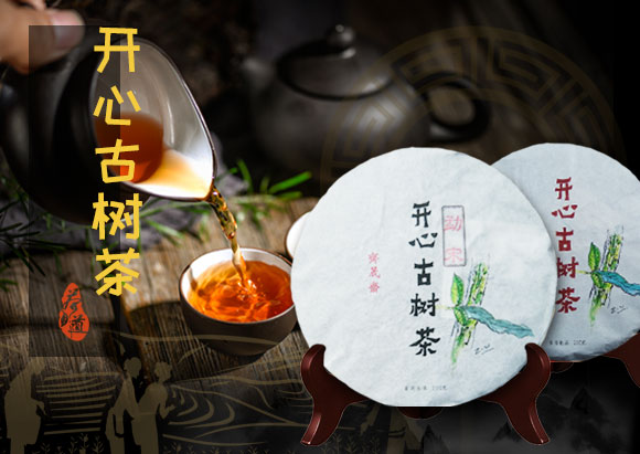 齐晟斋开心古树茶